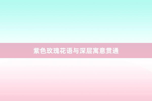 紫色玫瑰花语与深层寓意贯通