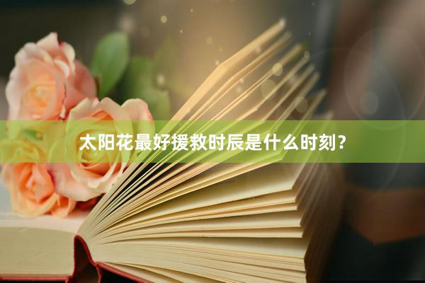 太阳花最好援救时辰是什么时刻？