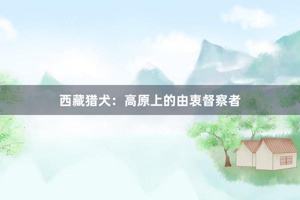 西藏猎犬:高原上的由衷督察者